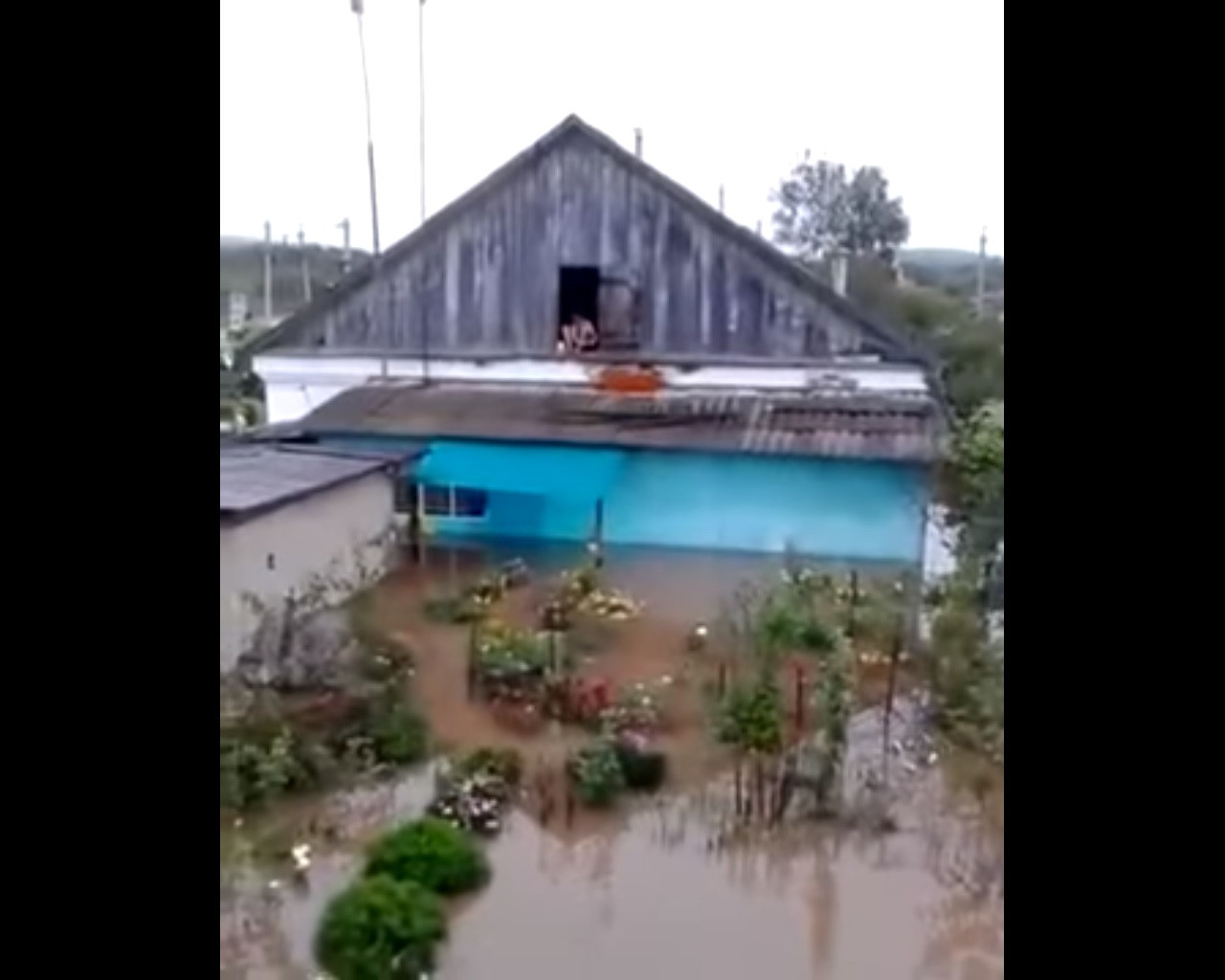 Видеорепортаж из районов ЧС Приморья
