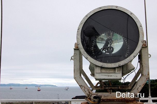 Дальневосточные ученые продолжают комплексное исследование тихоокеанских лососей