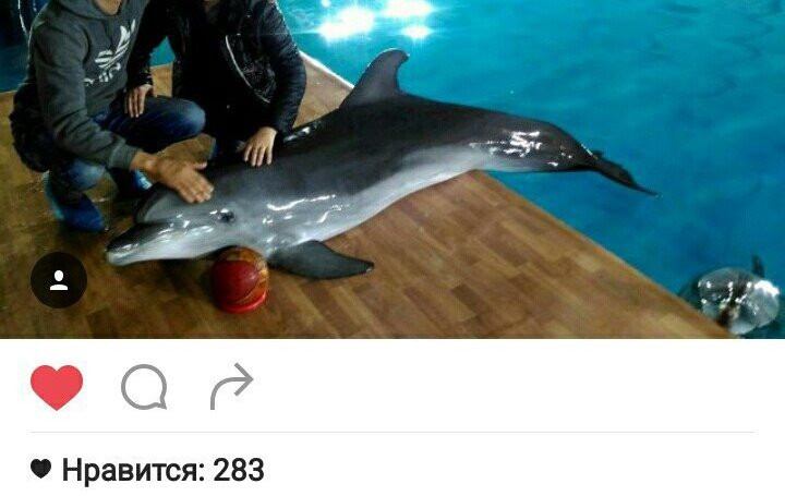 Соцсети приносят людям пользу