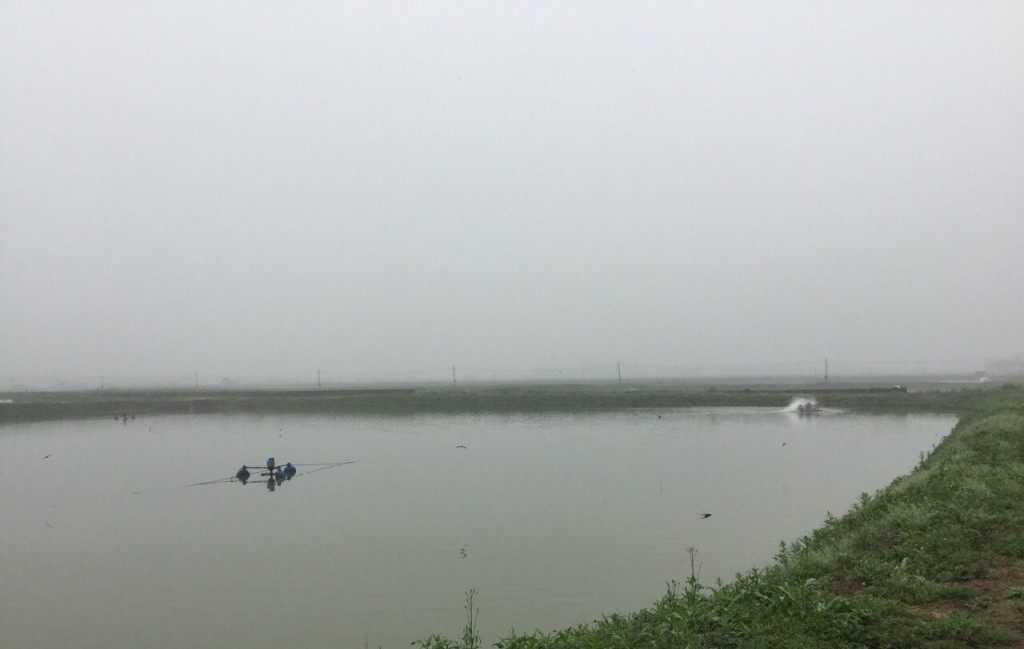 Крымские рыбаки бьют рекорды