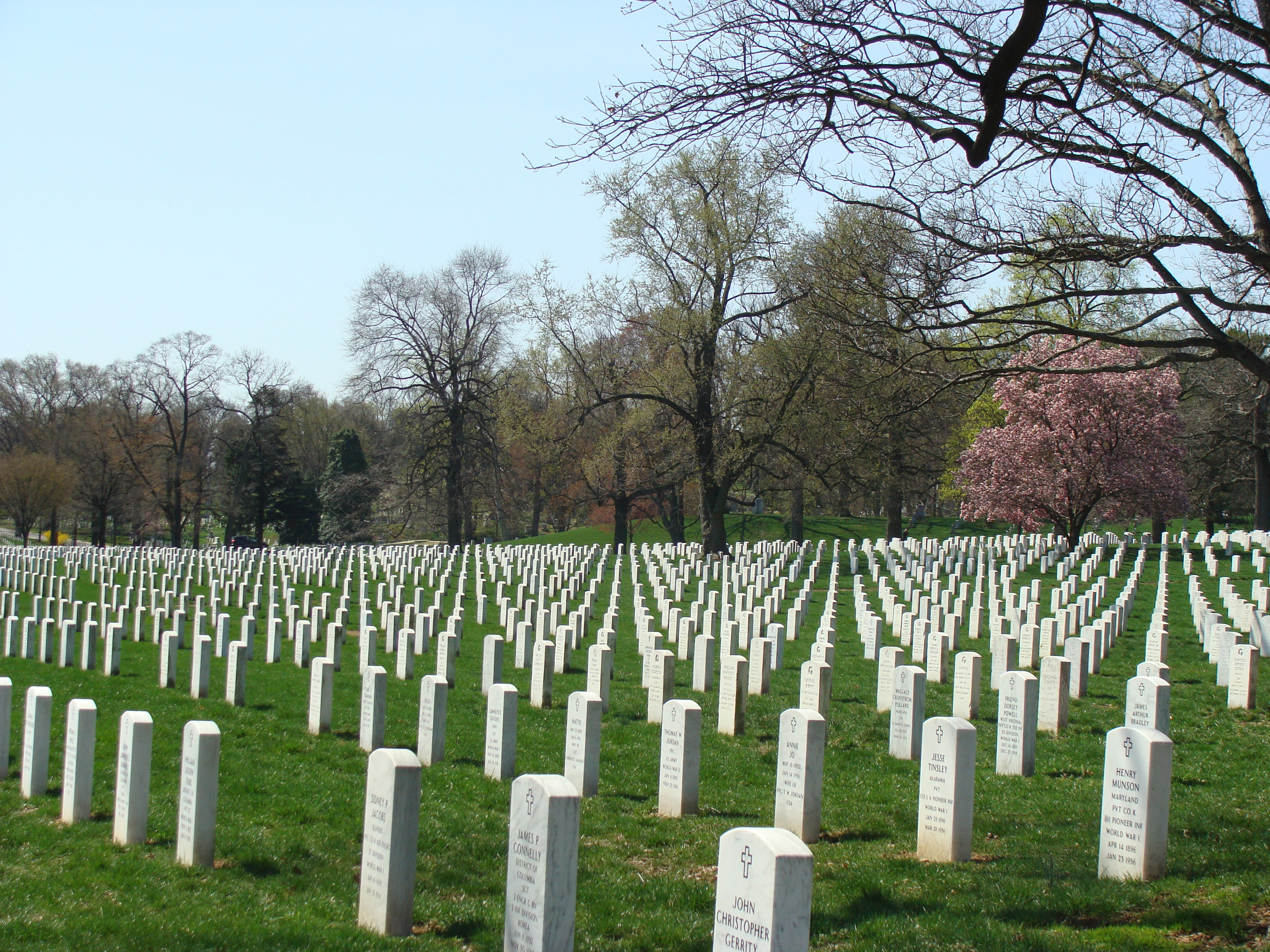 Человечество развивается медленнее раковых клеток