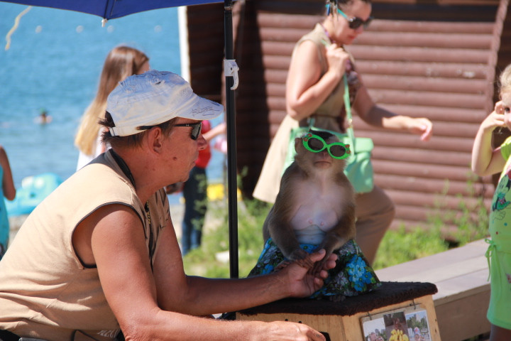 Какая работа вредна для сердца и фигуры?