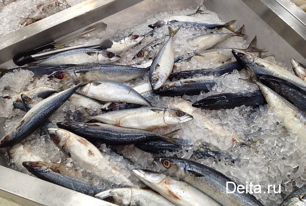 Рыбалка обошлась приморцам в 230 тысяч рублей