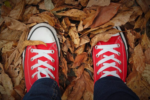 Жители Владивостока редко гуляют пешком