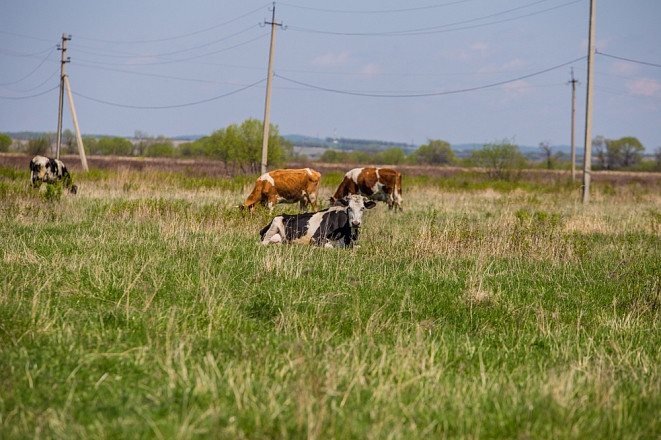 Жертв тайфуна Лайонрок посчитать пока невозможно
