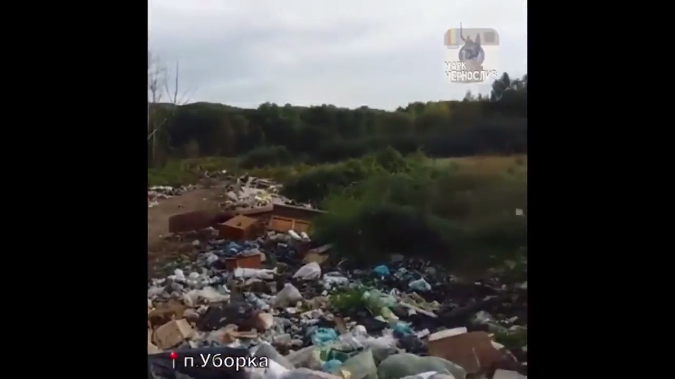 В Приморье обнаружена свалка гуманитарной помощи (ВИДЕО)