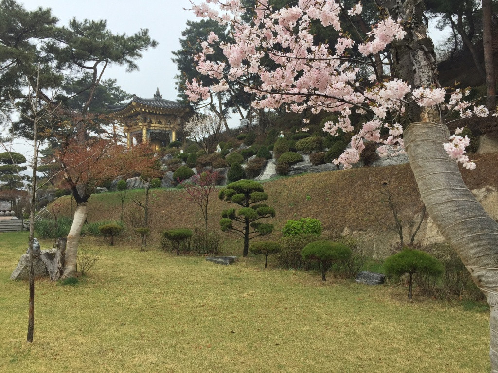 Ярмарка корейского туризма откроется во Владивостоке 