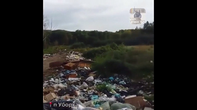 В Приморье узнают, кто выбросил гуманитарную помощь 