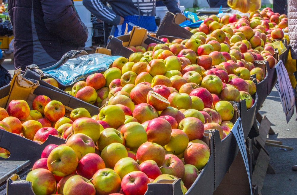 Медведев официально сделал приоритетными российские товары