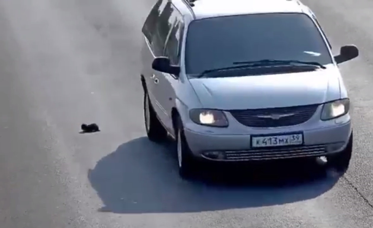 Это видео посмотрела вся страна