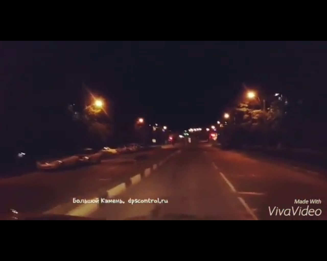 Рогатый пешеход разгуливал по центру города в Приморье (ВИДЕО) 