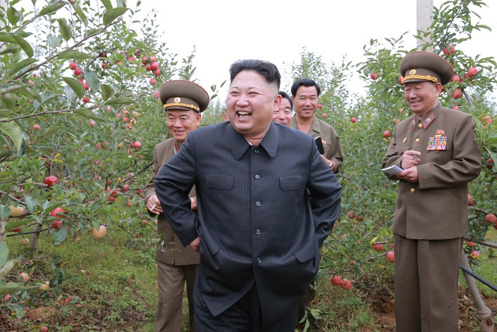 КНДР восстанавливается после удара стихии