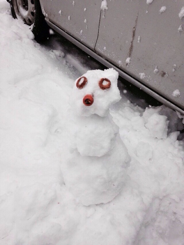 Министры не дадут России замерзнуть