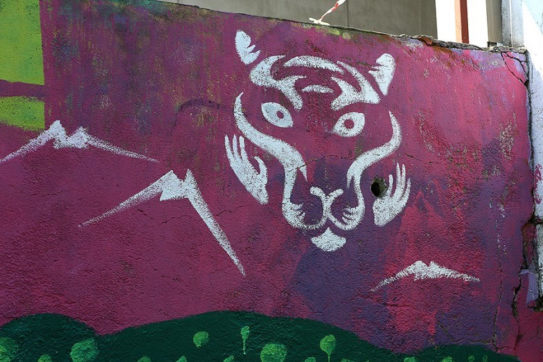 Во Владивостоке готовятся ко Дню тигра 