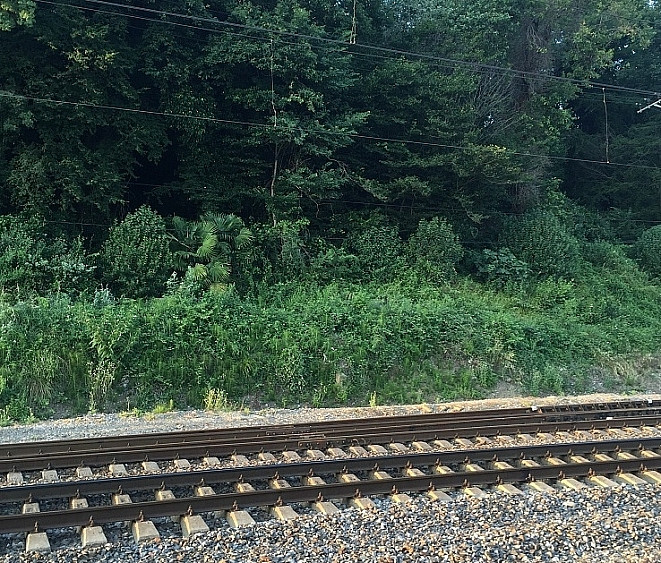 Закрытие тоннеля имени Сталина затронет тысячи приморцев