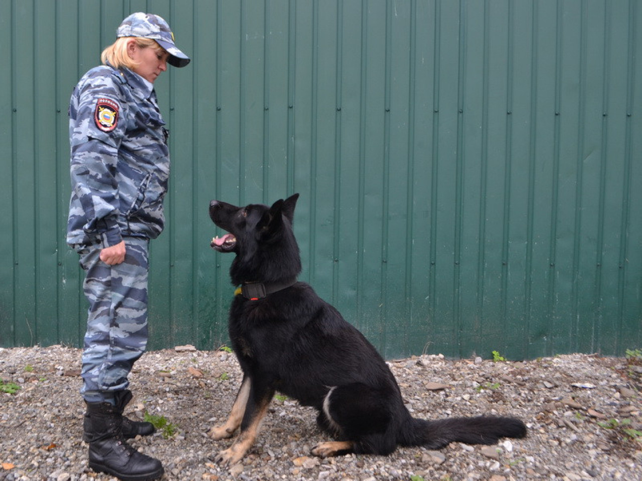 Опал разрушил планы приморцев на отдых в пивбаре