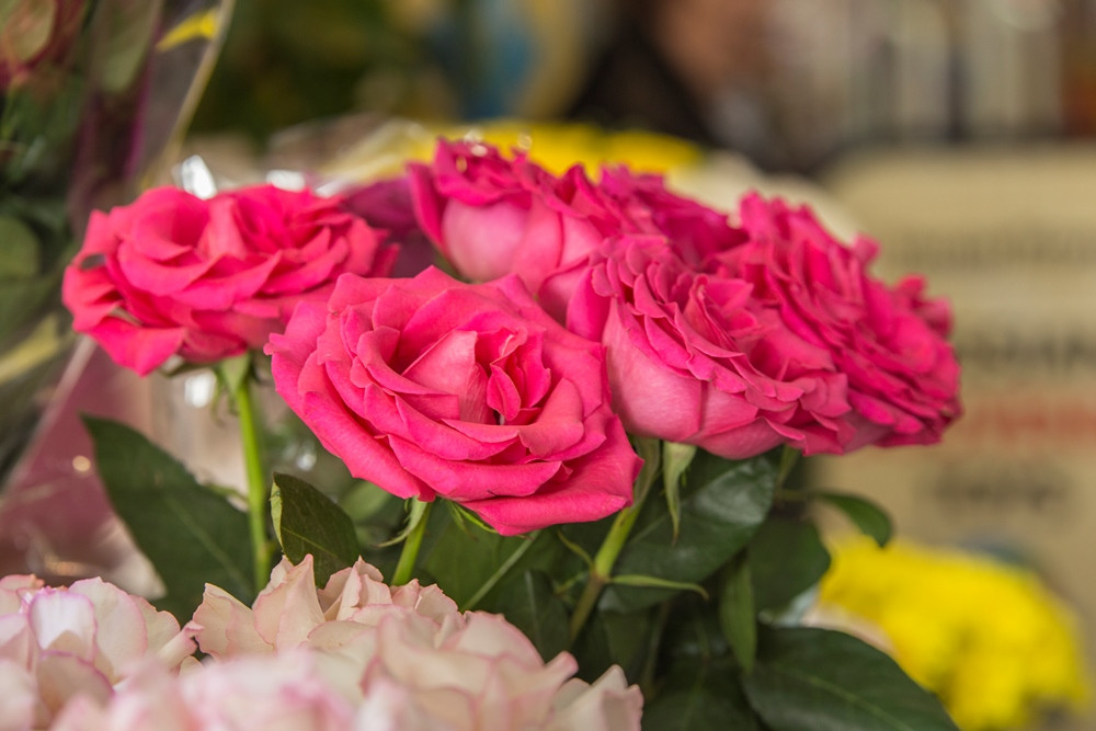 Опасная зараза таилась в букетах в Приморье