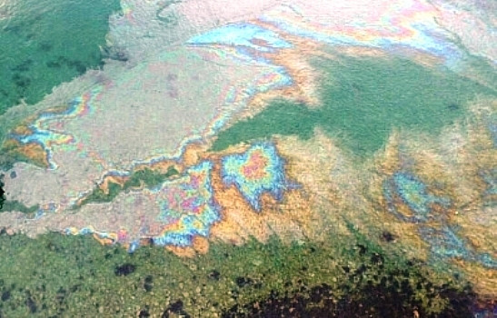 Экологические преступления теперь входят в полномочия Международного уголовного суда