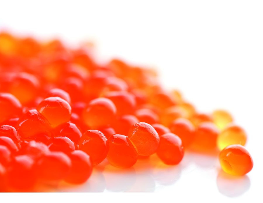 Тайник с икрой на 2,5 млн рублей нашли на Камчатке