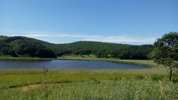 Переселенцев на Дальний Восток предлагают стимулировать