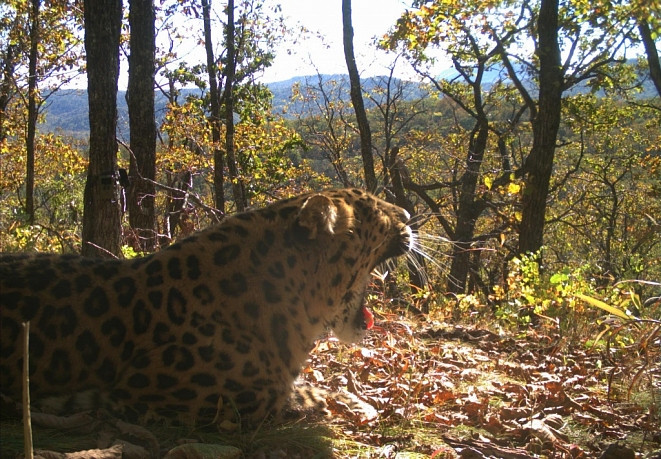 Первая экологическая тропа появится в Приморье