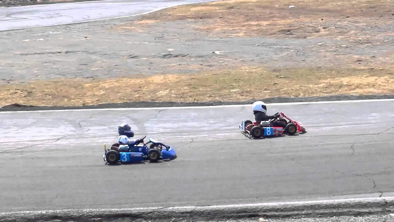 Фанатов картинга ждут в воскресенье на Змеинке