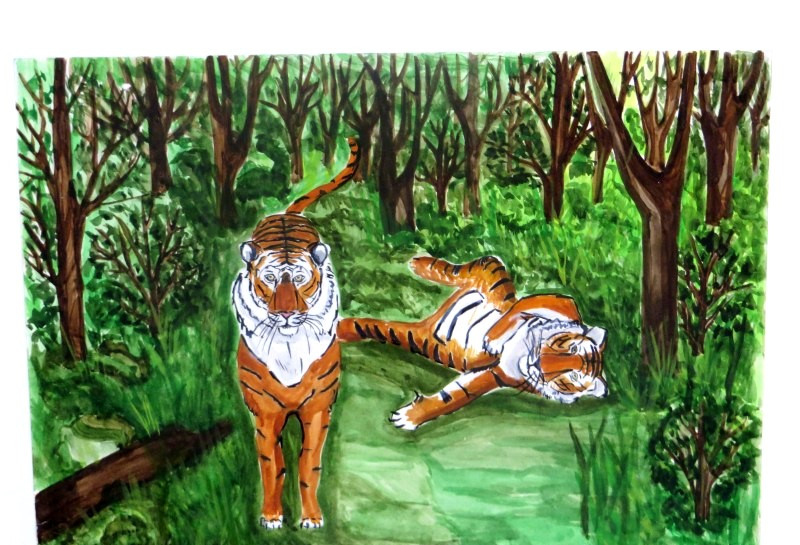 Амурские тигры появились в одном из МФЦ Приморья