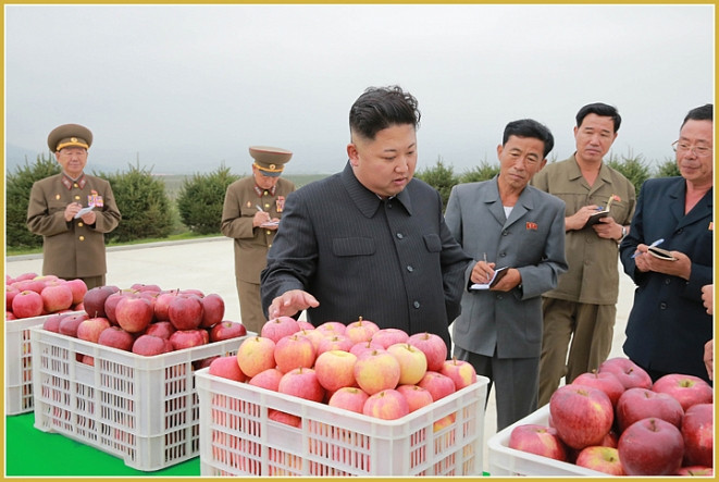 Сеул готов ликвидировать Ким Чен Ына