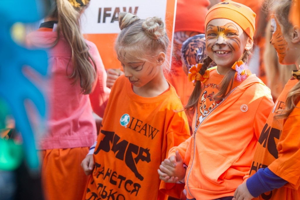 День тигра и не только 