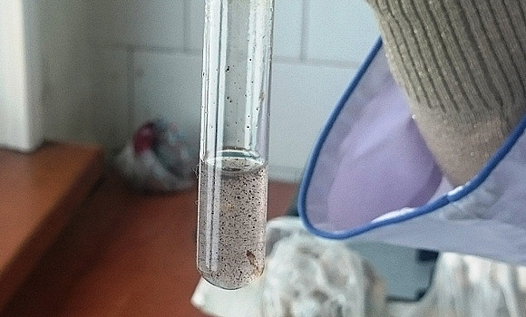 Что за вирус ходит во Владивостоке? 