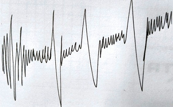 Мощное землетрясение пошатнуло Японию
