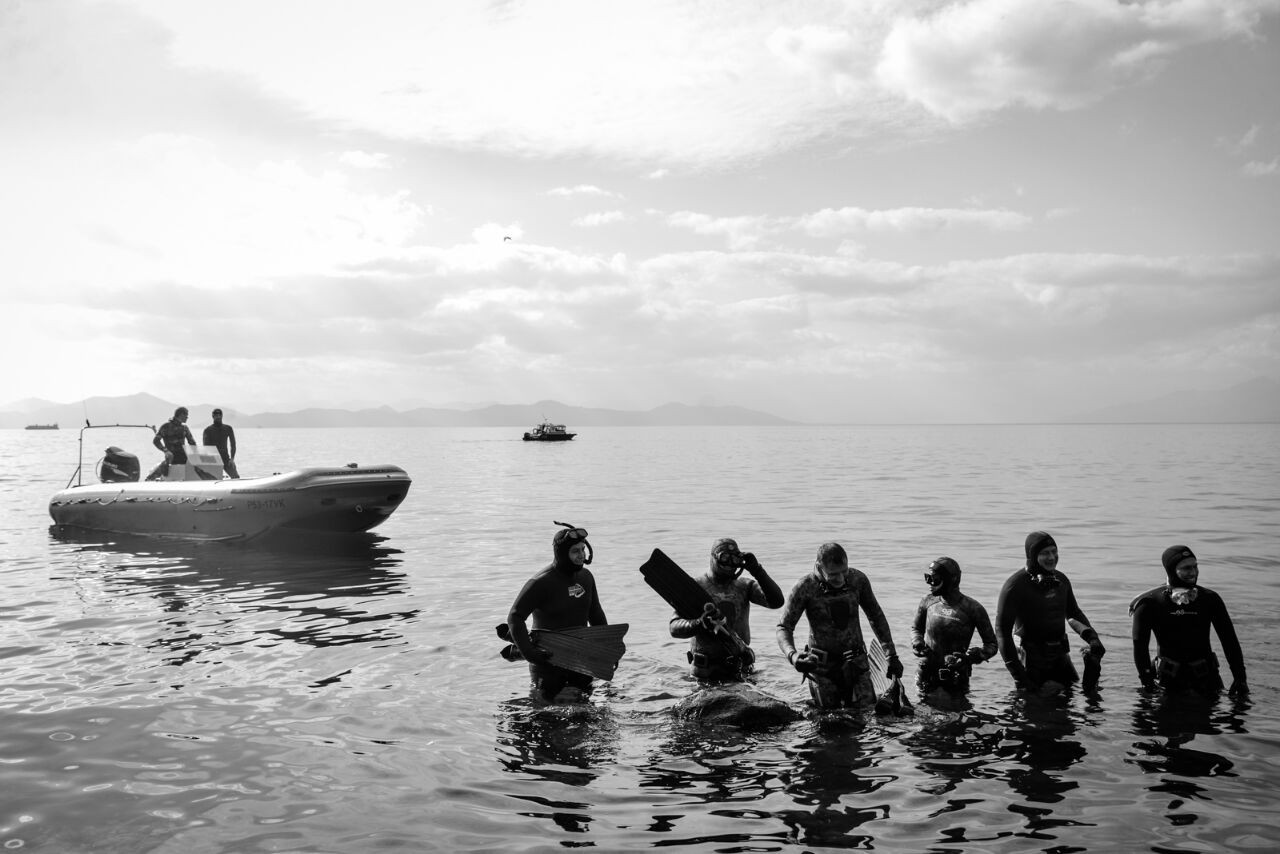 Камчатцы передали пожелание сивучу в Море жизни