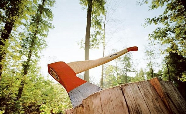 Бизнесвумен судят за убитого упавшим деревом лесоруба