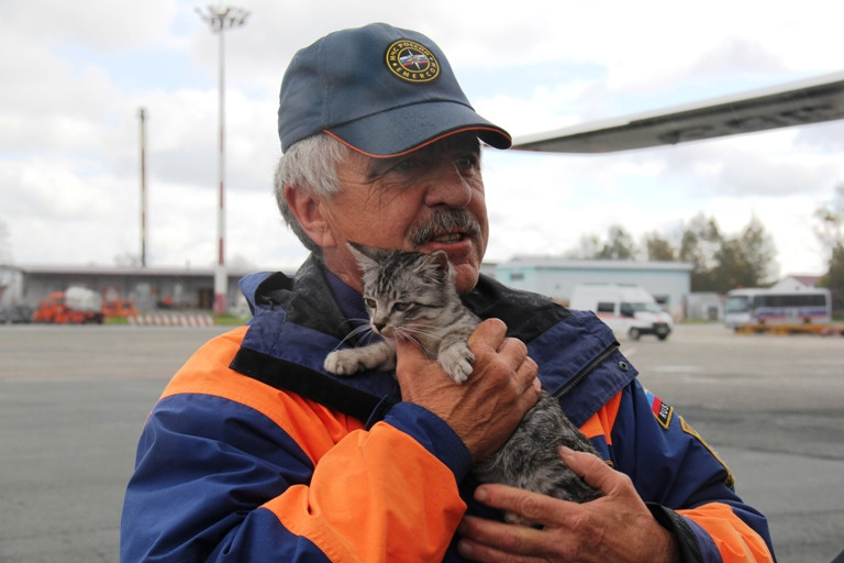Приморского котенка спасатели Сахалина поставили на довольствие