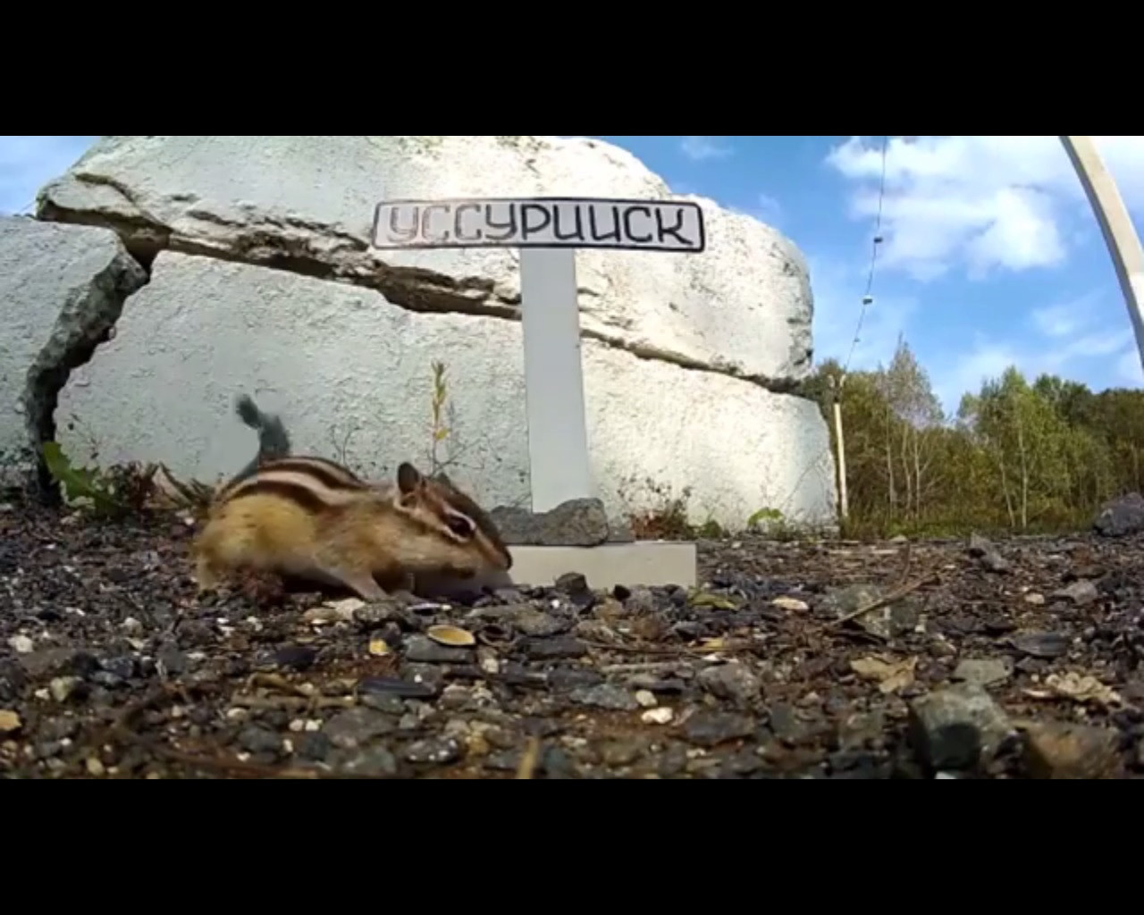 Нестандартное для брутального паблика видео стало популярным 