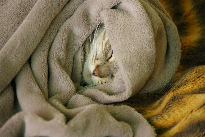 Холода Владивосток встретит в полной готовности