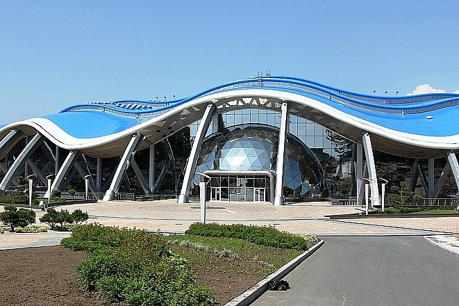 Приморский океанариум не закрывают