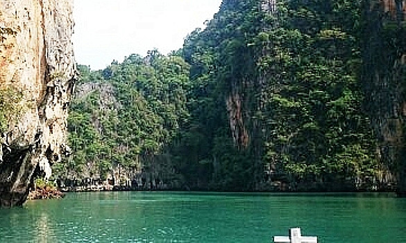 Ядовитые пузыри не отпугнули приморцев от Таиланда