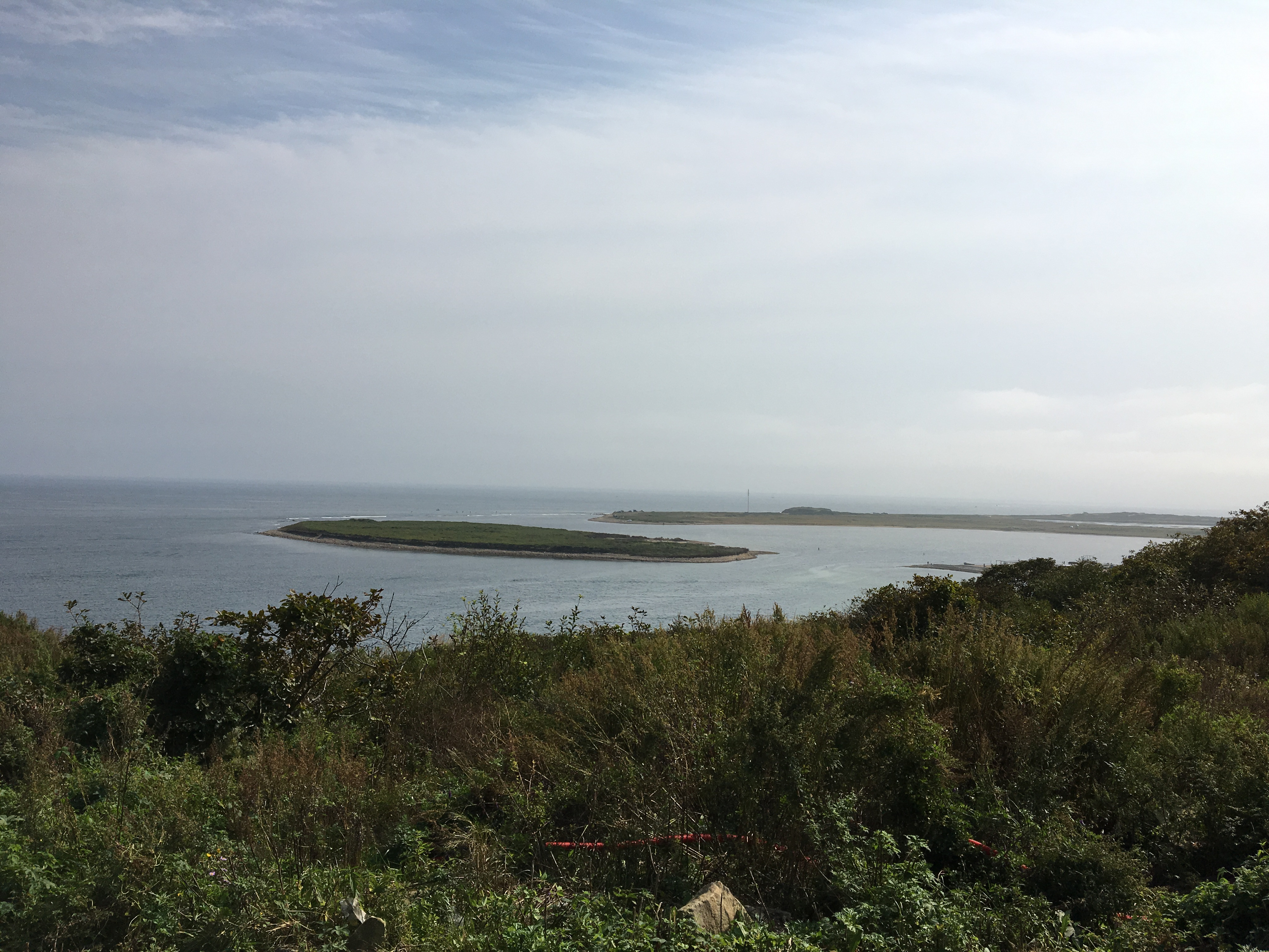 Афера с дальневосточным гектаром разворачивается в Приморье