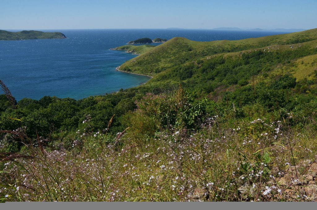 От морского мусора чистят остров Русский