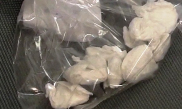 Разгромлена банда иностранцев, травившая приморцев (видео)