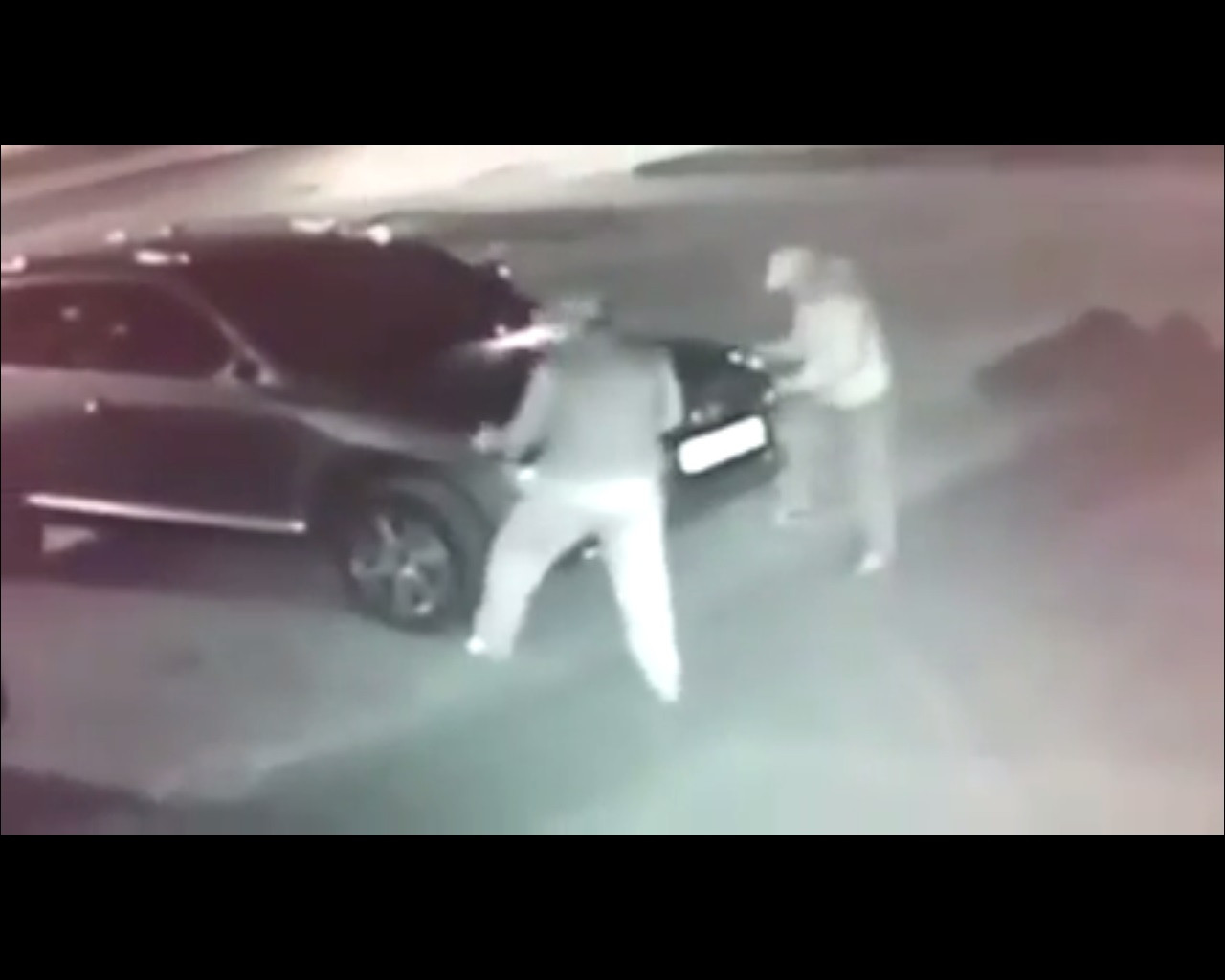 В сети появилось пособие для начинающих автоворов (ВИДЕО) 