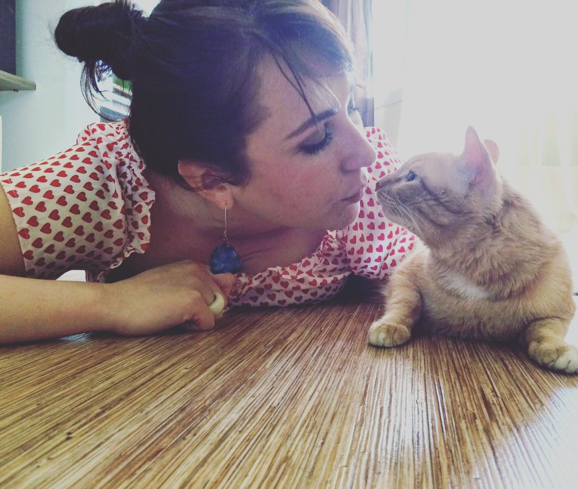 О Всемирном дне животных приморцы не знают, но котиков любят (ФОТО)