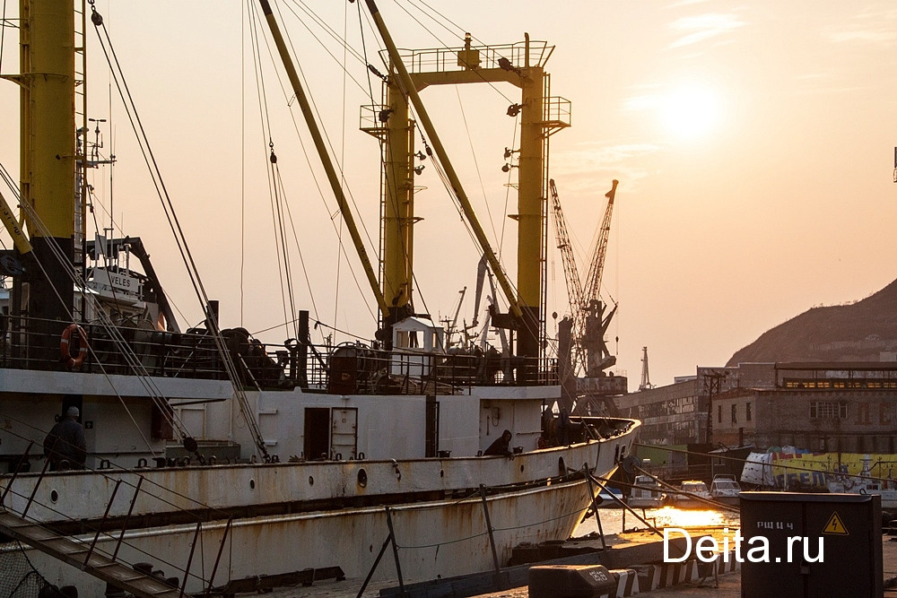 В России нужно спустить на воду 90 рыбопромысловых судов к 2030 году