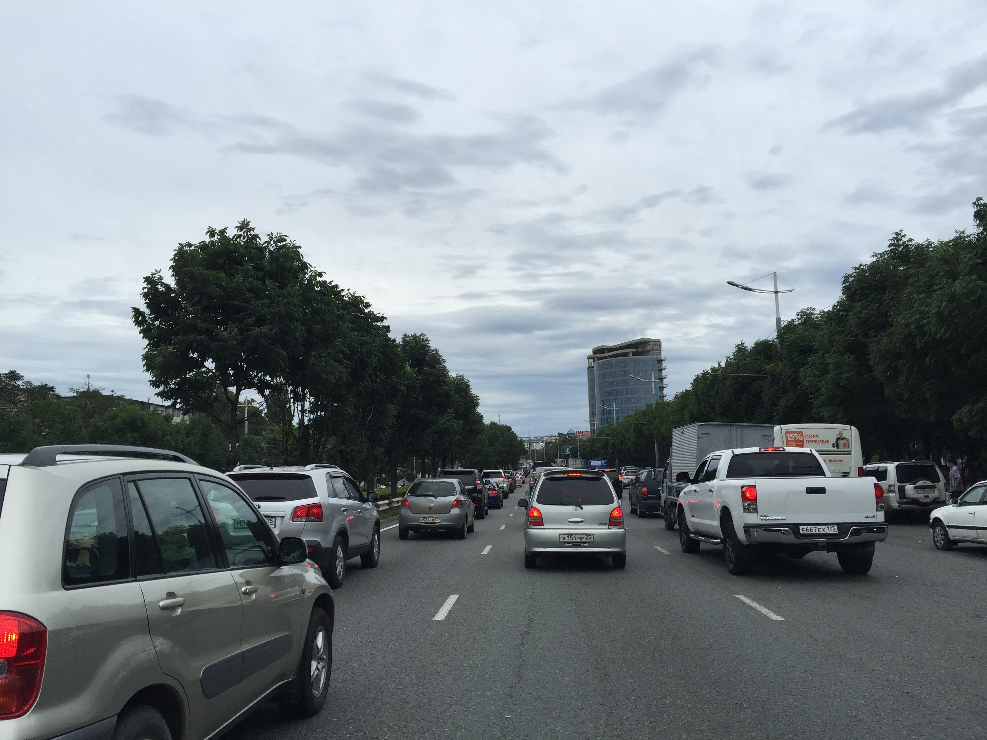 Эксперт: в этот раз, ввозя распил, сплоховали