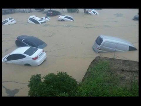 Разрушительный тайфун ударил по популярному у приморцев городу (ВИДЕО)
