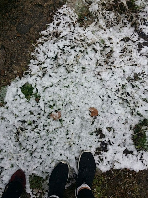 Первый снег выпал на Дальнем Востоке (ФОТО)