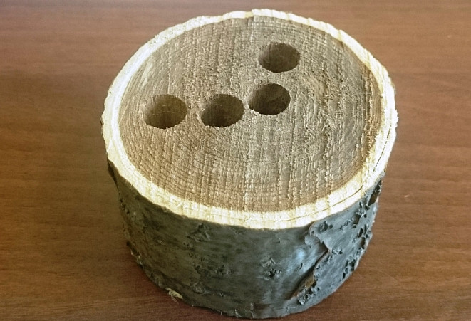 Дальневосточные ученые запустили разработку в массовое производство