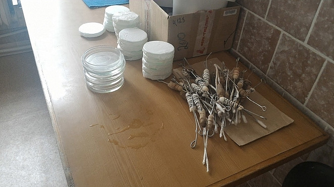 Ученые создали человеческий мозг