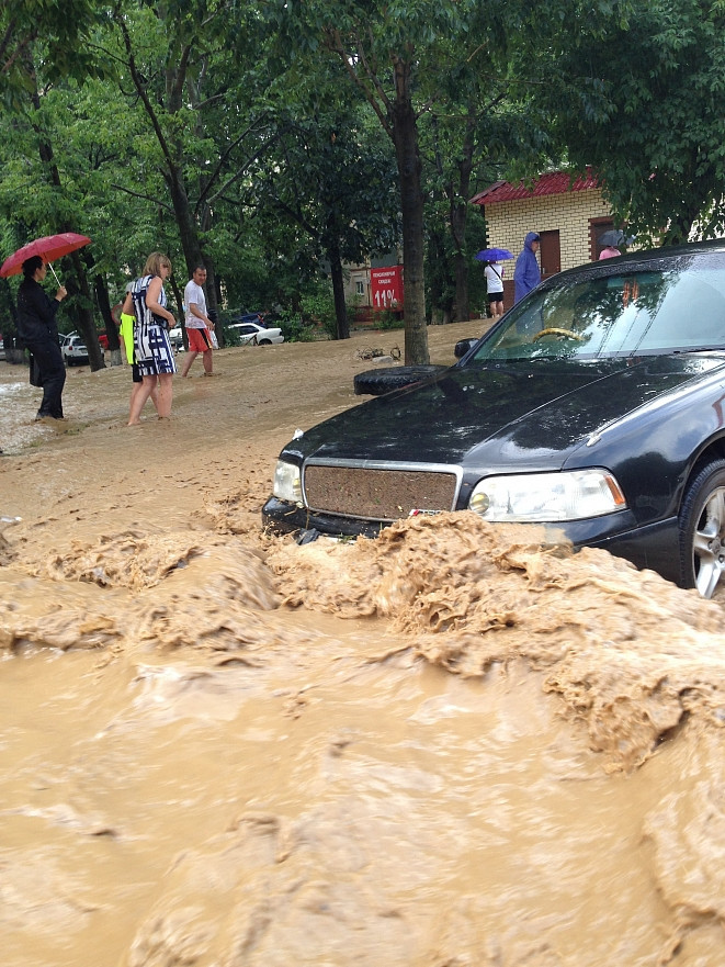 Новый урожай госномеров принес ливень (ФОТО)